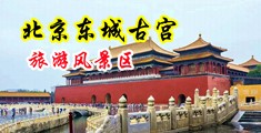 美女被艹出水的网站中国北京-东城古宫旅游风景区